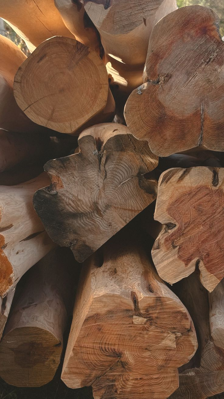 Stacked timber logs ready for movement
